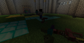 Glitched mobs in a SMP Server