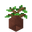 Potted Oak Sapling UNKVER1 (facing NWU).png