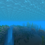 1.13-pre1 panorama 2.png