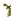 Attached Stem Age 13 JE3