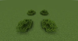 Small bush-like jungle trees.
