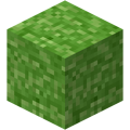 Um bloco de grama, um dos primeiros blocos adicionados ao jogo.