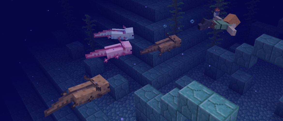 Caves Cliffs Minecraft Wiki, Cost To Make A Bear Skin Rug In Minecraft