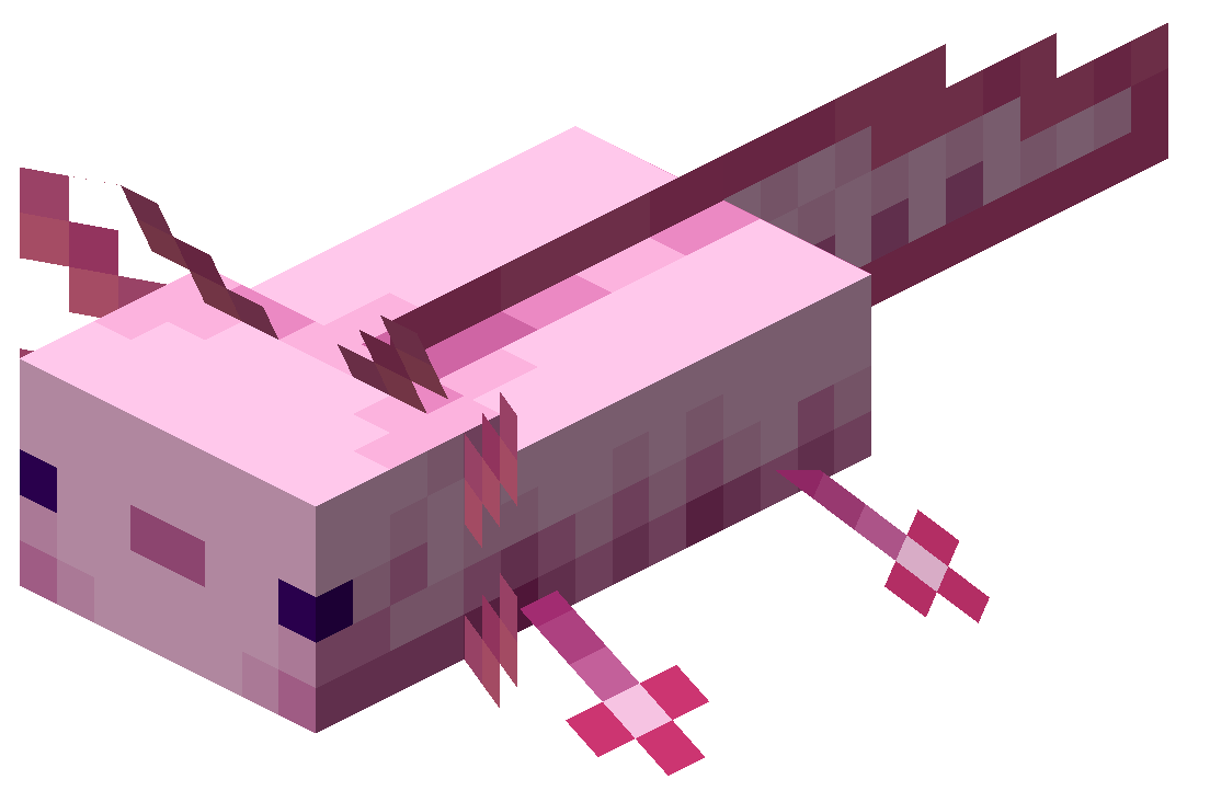 Axolotl – Minecraft Wiki