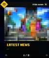 A mysterious news feed post with a pixelated image, later revealed to be the poster for Fauna Faire.