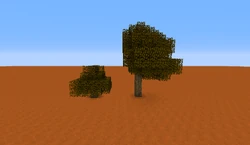 Comparison of oak and fancy oak.