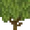 Azalea (plant texture) JE1.png