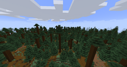 Old Growth Spruce Taiga in Minecraft