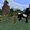 Pocket Edition v0.15.0 alpha