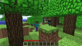 Indev 0.31 20100131-2244