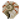 Nautilus Shell BE1