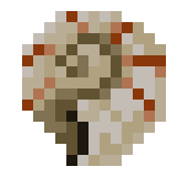 Nautilus Shell Minecraft Wiki