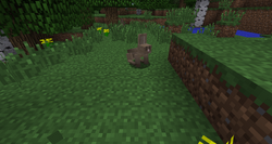 Rabbit Hide – Minecraft Wiki