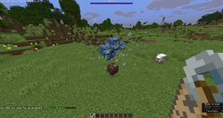 Name Minecraft Wiki