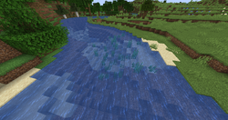 Seagrass that generated in a river biome.