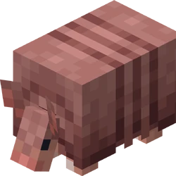 Armadillo