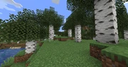 BirchGroveInPillageAndVillage