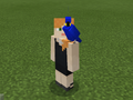 Blue Parrot on Tuxedo Alex.png