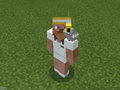 Gray Parrot on Tennis Steve.png