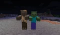 Size comparison between a husk and a normal zombie, the husk being 2 pixels taller, but have the same hitbox.