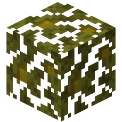 Lush Caves