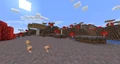 Mushroom Fields biome.