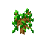 Oak Sapling JE4 BE1