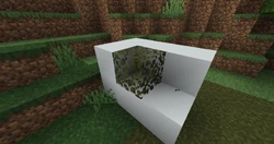 Swamp (Cold)