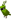 Green Parrot