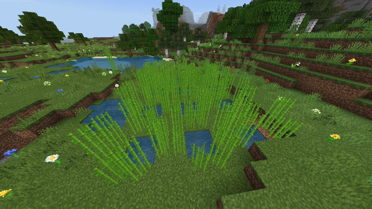 Sugar Cane Minecraft Wiki