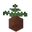 Potted Fern UNKVER2 (facing NWU).png