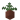 Potted Fern UNKVER2 (facing NWU)