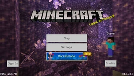 Bedrock 1.17.10