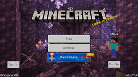 Bedrock Edition 1 17 10 Official Minecraft Wiki