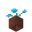 Potted Blue Orchid UNKVER1 (facing NWU).png