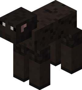 Sheared Long Nose Sheep