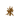 Dead Bush JE2