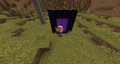 A Zombie Pigman wandered through a Nether portal and into The Overworld.