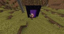 Zombie pigman and nether portal.png