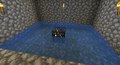 Capture spawner