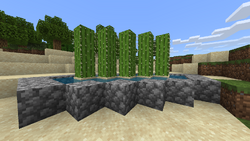 Tutorials Cactus Farming Official Minecraft Wiki