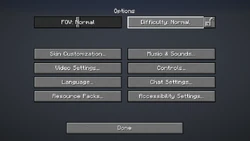 Options Official Minecraft Wiki