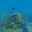 V1.5.0.4 panorama 0.png