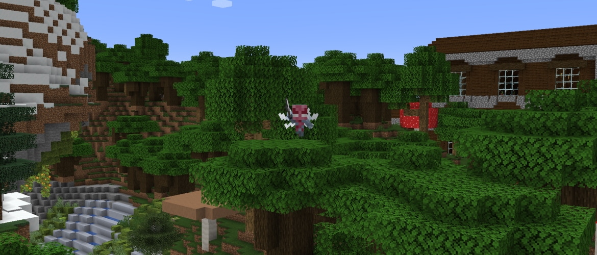 Java Edition 1.19.3 – Minecraft Wiki