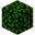 Acacia Leaves (fast) JE1.png