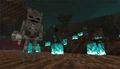 A preview of two wither skeletons in the soul sand valley.