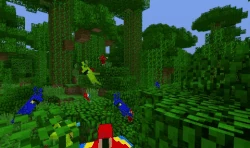 Another image of parrots tweeted by Maria Lemón.