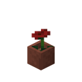 Potted Poppy.png