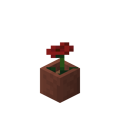 Potted Poppy.png