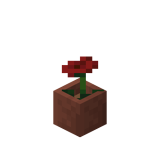 Potted Poppy